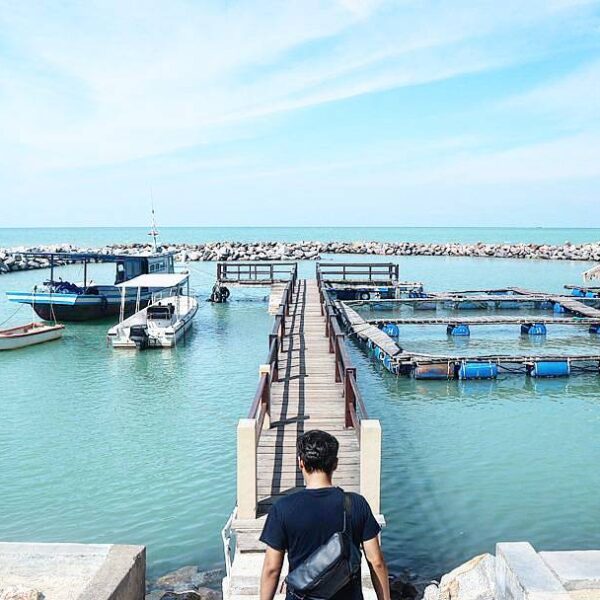 Location : Pantai Tongaci Penangkaran Tukik, Sungailiat, Kabupaten Bangka, Bangk...