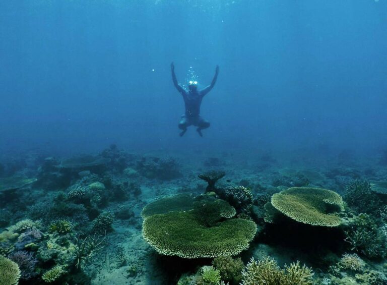 #explorebima Photo today by  taken at So Numbe Beach...