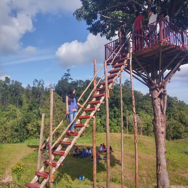 #exploreambon photo today by  taken at Rumah Pohon, Desa Waai, Ambon.
#explorein...