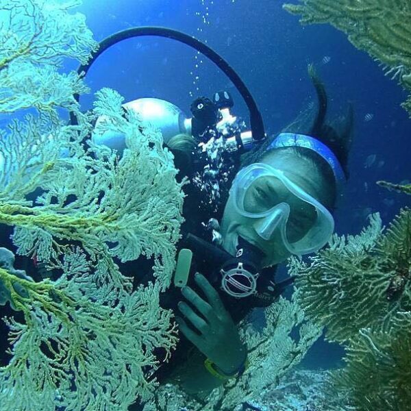 #exploreambon photo today by  taken at Bawah Laut Pantai Hukurila, Ambon.
#explo...