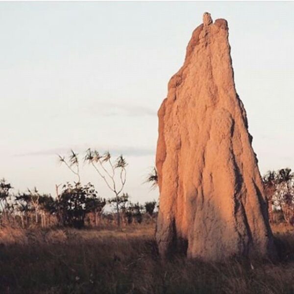 #explorepapua Photo today by  taken at Merauke...