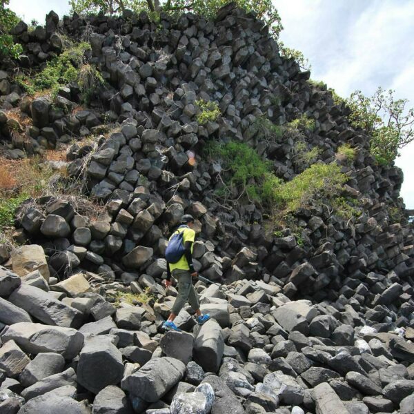 #explorebima Photo today by  taken at Tanjung Mariam Lambu

Columnar joint dihas...
