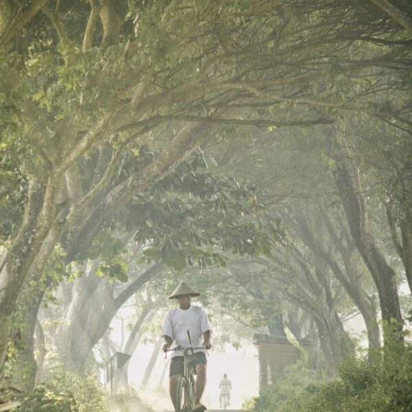 #explorejogja photo today by  taken around Pleret, Bantul....