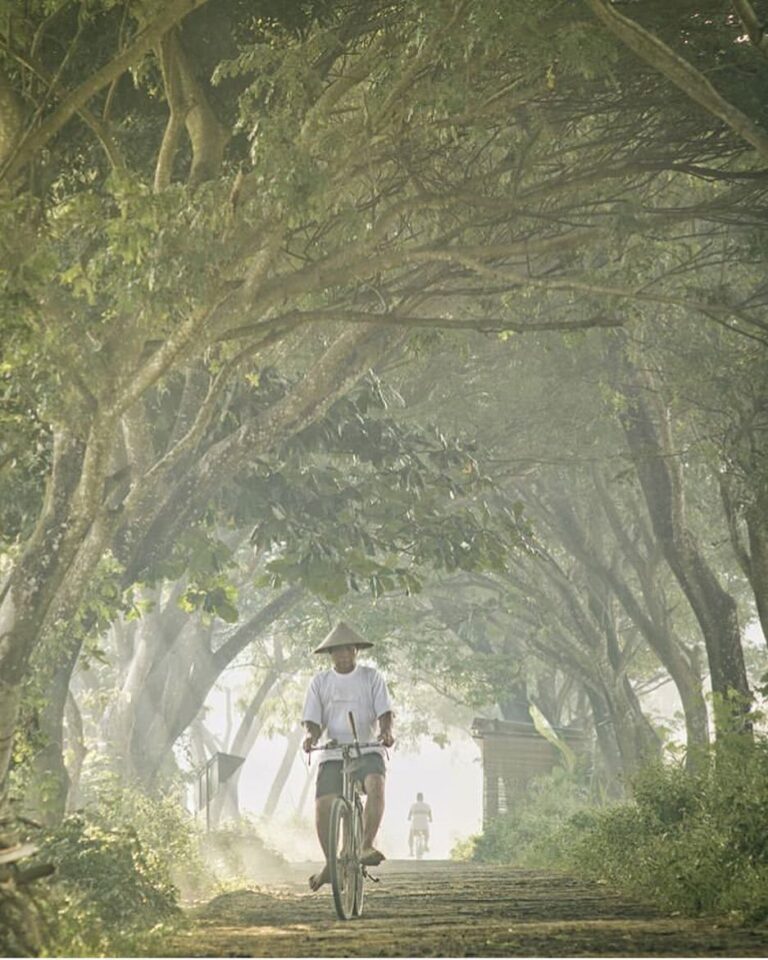 #explorejogja photo today by  taken around Pleret, Bantul....