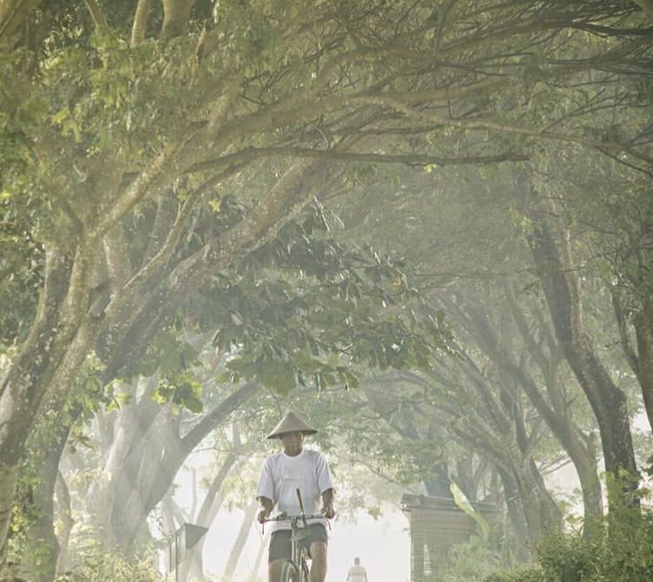 #explorejogja photo today by  taken around Pleret, Bantul....