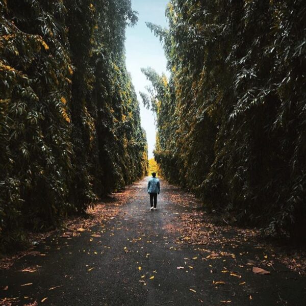 #explorejogja photo today by  taken at Komplek TNI AU Yogyakarta....