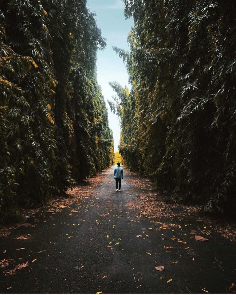 #explorejogja photo today by  taken at Komplek TNI AU Yogyakarta....
