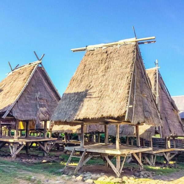 #explorebima Photo today by  taken at Uma Lengge Wawo...
