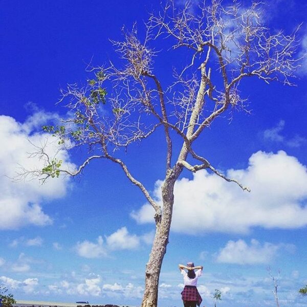 Location : Pantai Pasir Padi, Pangkalpinang, Bangka Island, Kepulauan Bangka Bel...