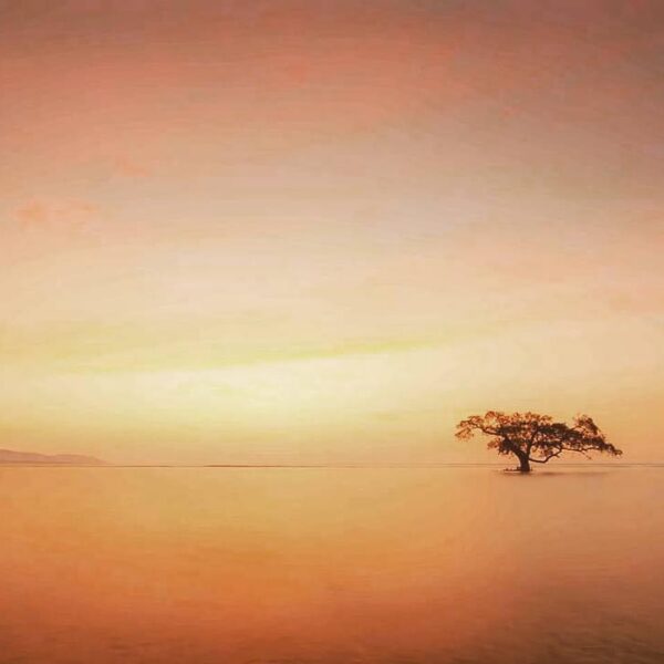 #explorealor Photo today by  Taken around at Pantai Kokar, Alor, Nusa Tenggara T...