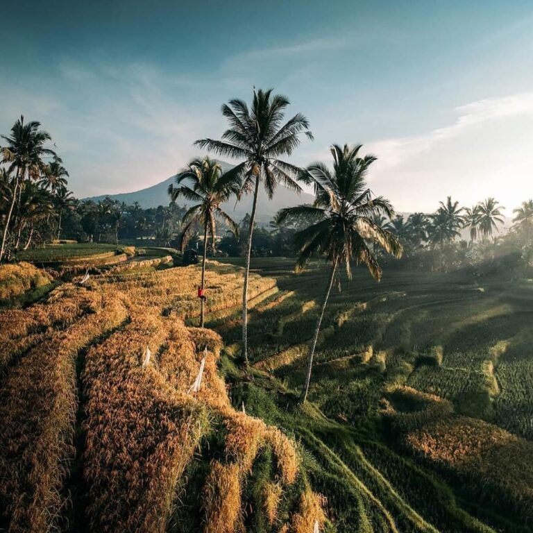 Acara berburu mentari terbit jadi makin syahdu saat sinar keemasannya beradu den...