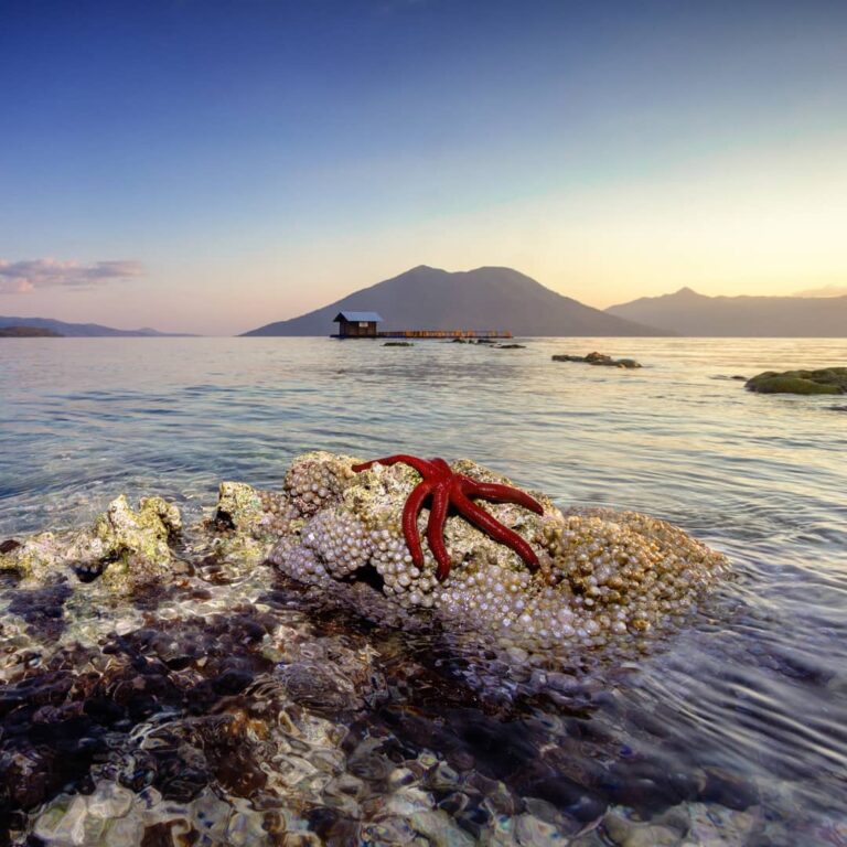 Berkunjung ke Alor, siap-siap dimanjakan dengan keindahan pantai-pantai dan bawa...