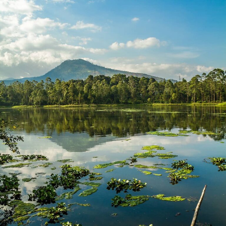 Bila Sobat Pesona termasuk penyuka wisata alam dengan lokasi yang instagramable ...