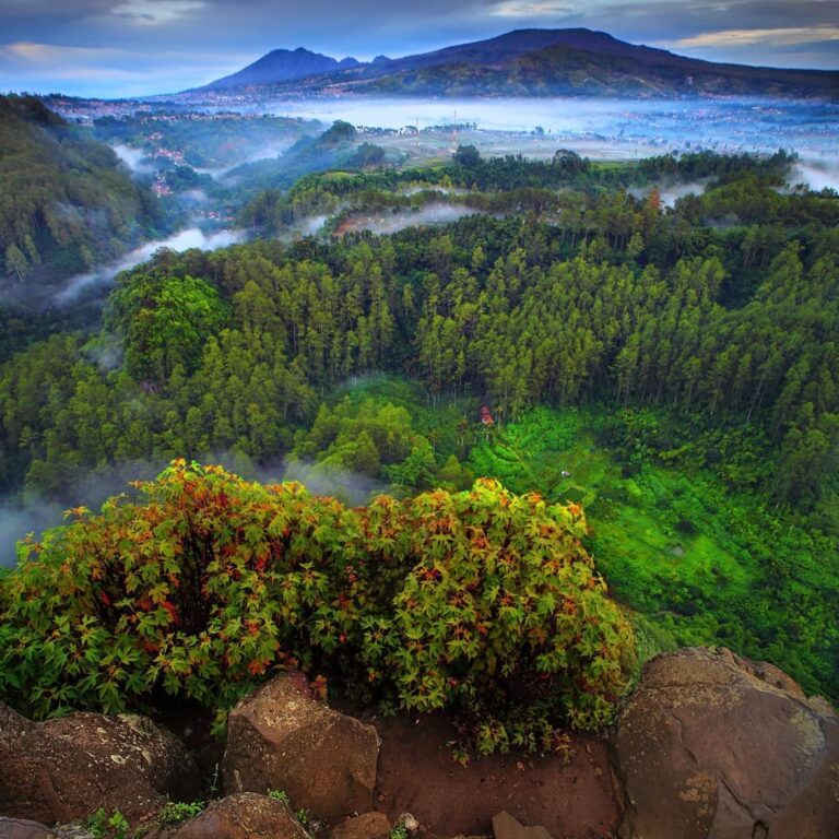 Bila tersesat di hutan, apa yang akan Sobat Pesona lakukan?
.
Pada dasarnya, tak...