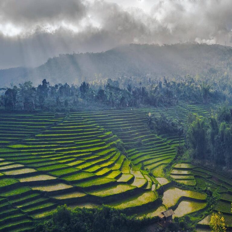 Coba deh, perhatikan foto bentangan sawah nan cantik yang diambil oleh  ini. Pol...