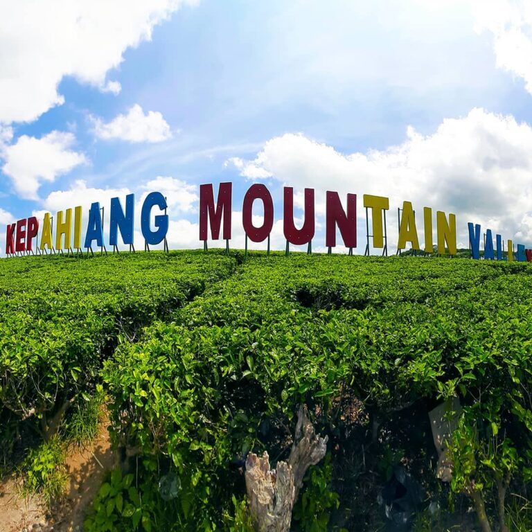 Wisata Kebun Teh Kabawetan: Memahami Kesejarahan dan Keindahan Kebun Teh di Kepahiang, Bengkulu, Yuk Liburan Kesini!