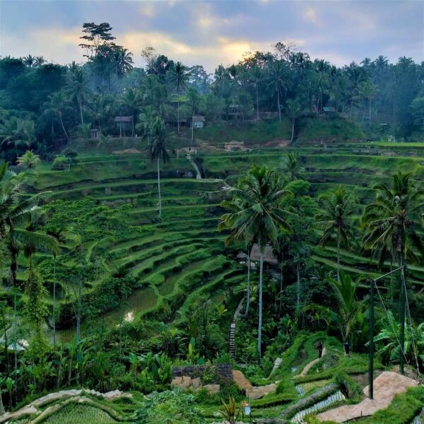 Di Ubud, kita bisa menikmati suasana Bali yang berbeda. Sebab, kota ini menyuguh...