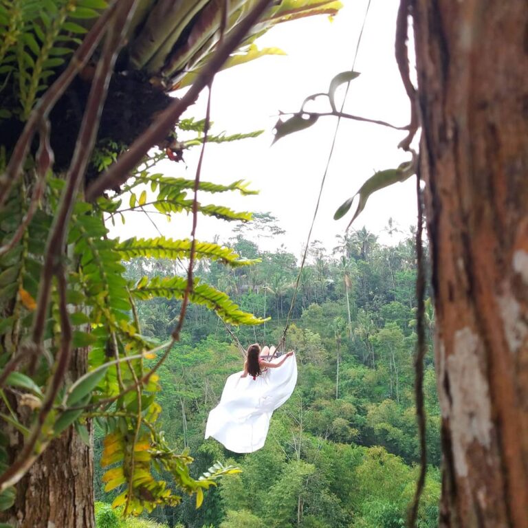 Di salah satu sudut Pulau Dewata, tepatnya di Jalan Raya Kintamani, Tampaksiring...