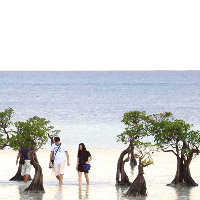 Hati-hati, sudah banyak korban jatuh hati pada keunikan Pantai Walakiri! Pesonan...