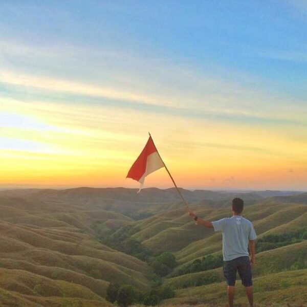 DIRGAHAYU INDONESIA ...