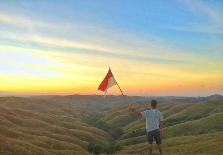 DIRGAHAYU INDONESIA ...