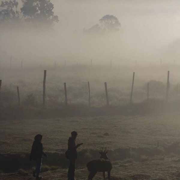 Certainly, there is an alluring life behind a thick fog.
Photo by  
#exploreband...