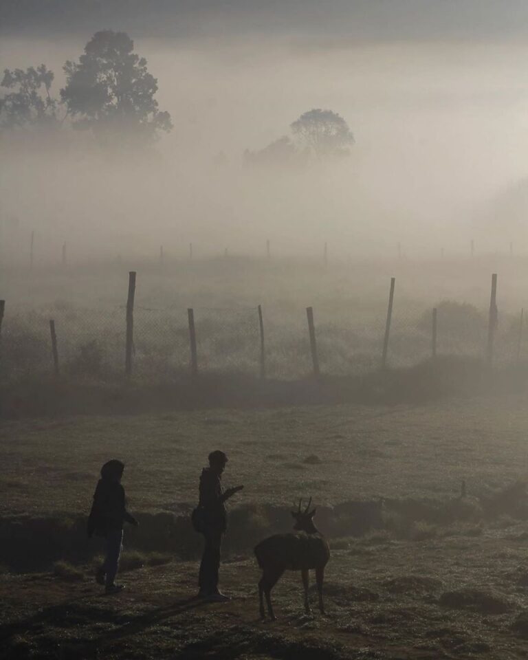 Certainly, there is an alluring life behind a thick fog.
Photo by  
#exploreband...