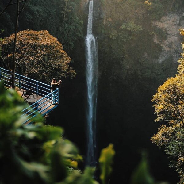 Good vibes, clear vision, great ideas. Let these positive energies stream down t...