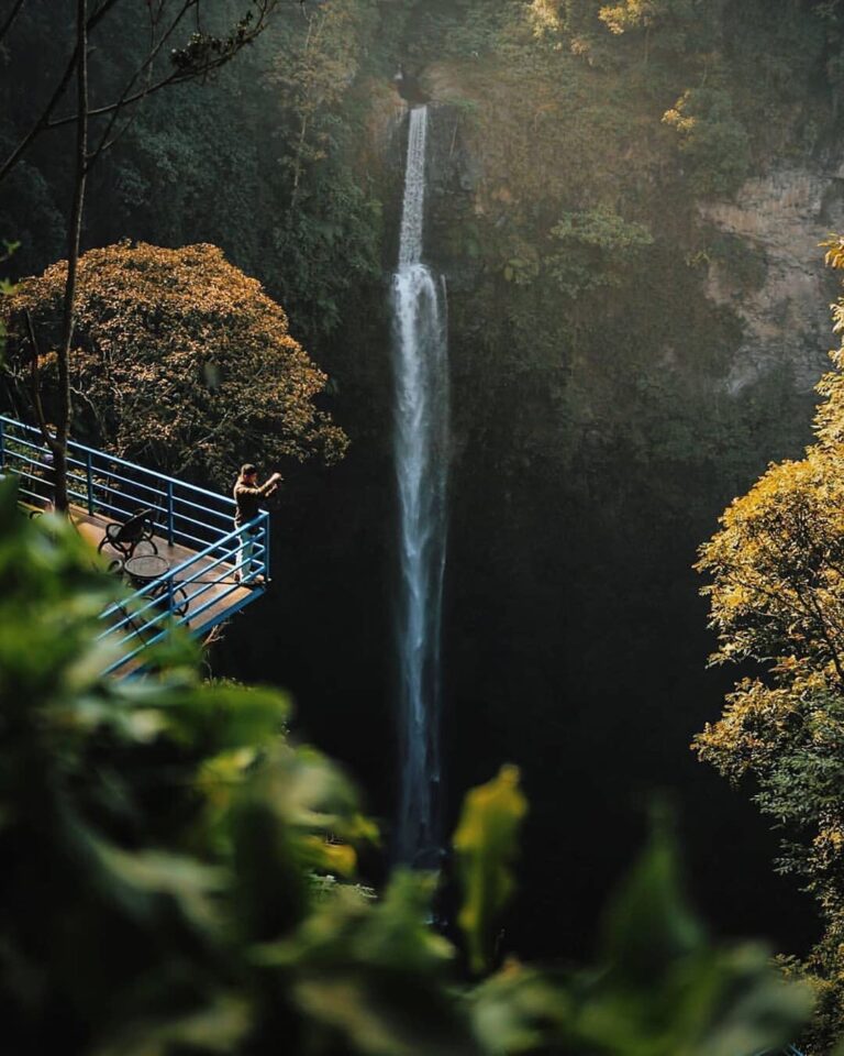 Good vibes, clear vision, great ideas. Let these positive energies stream down t...