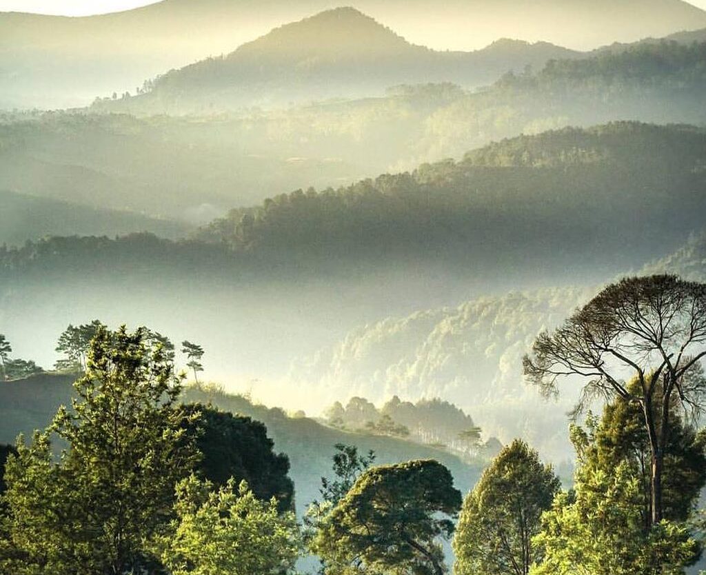 Life is contained a lot of layering levels that you should see the whole.
Photo ...