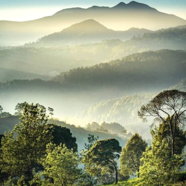 Life is contained a lot of layering levels that you should see the whole.
Photo ...