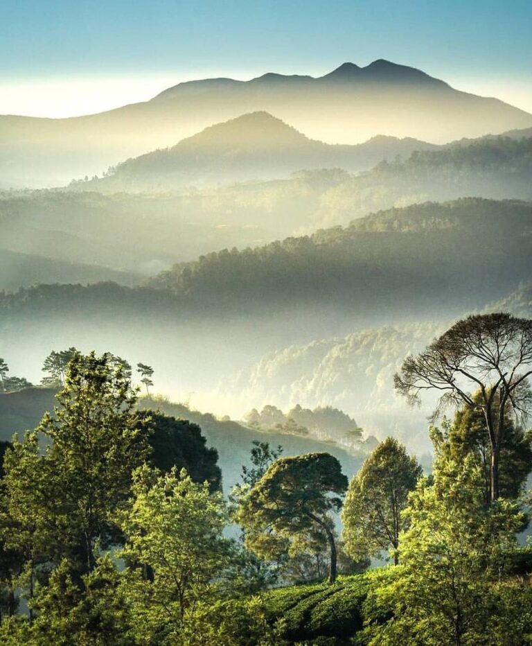 Life is contained a lot of layering levels that you should see the whole.
Photo ...