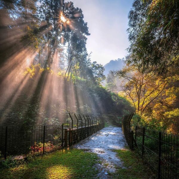 The beautiful greetings from nature comes from the morning sunny sky.
Photo by  ...
