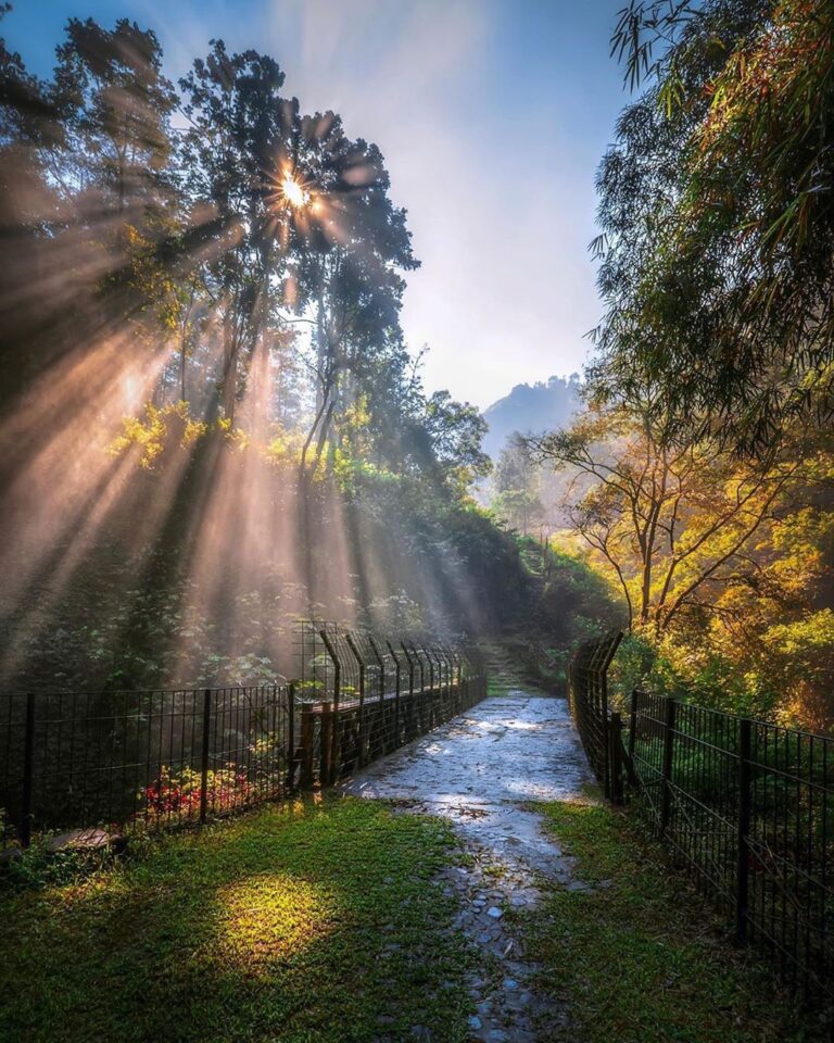 The beautiful greetings from nature comes from the morning sunny sky.
Photo by  ...