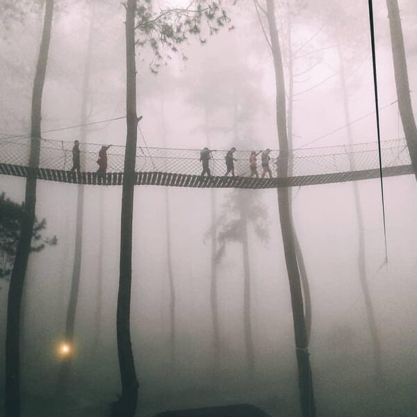 The endless journey around the fog is absolutely embraceful.
Photo by  
#explore...