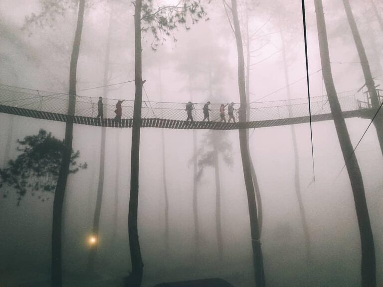 The endless journey around the fog is absolutely embraceful.
Photo by  
#explore...