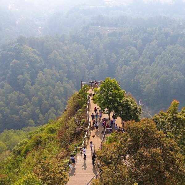The nature has a million stories that you can see with your eyes.
Photo by  
#ex...