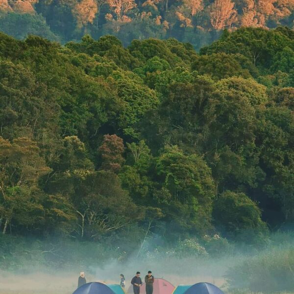 The nature is always have a choice for your own desire.
Photo by  
#explorebandu...