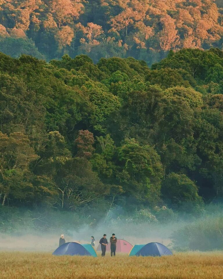 The nature is always have a choice for your own desire.
Photo by  
#explorebandu...