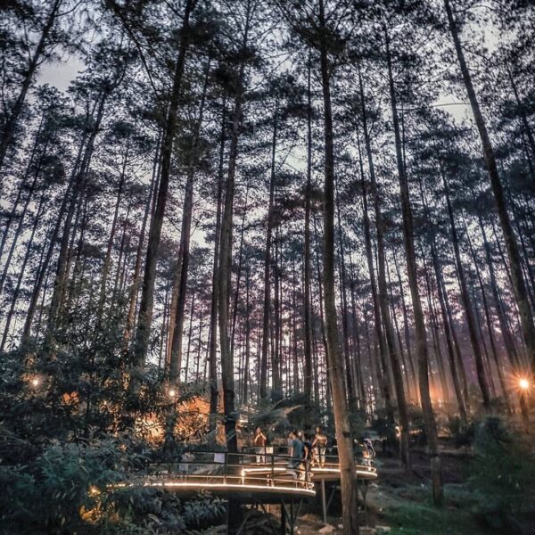 We love the idea of a sweet escape to blend in with nature and understand the wo...