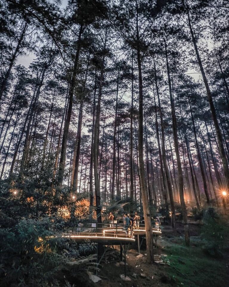 We love the idea of a sweet escape to blend in with nature and understand the wo...