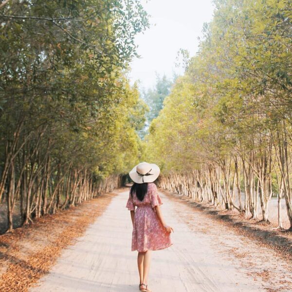 Location : Bangka Botanical Garden, Pangkalpinang, Bangka Island, Indonesia.

Ph...