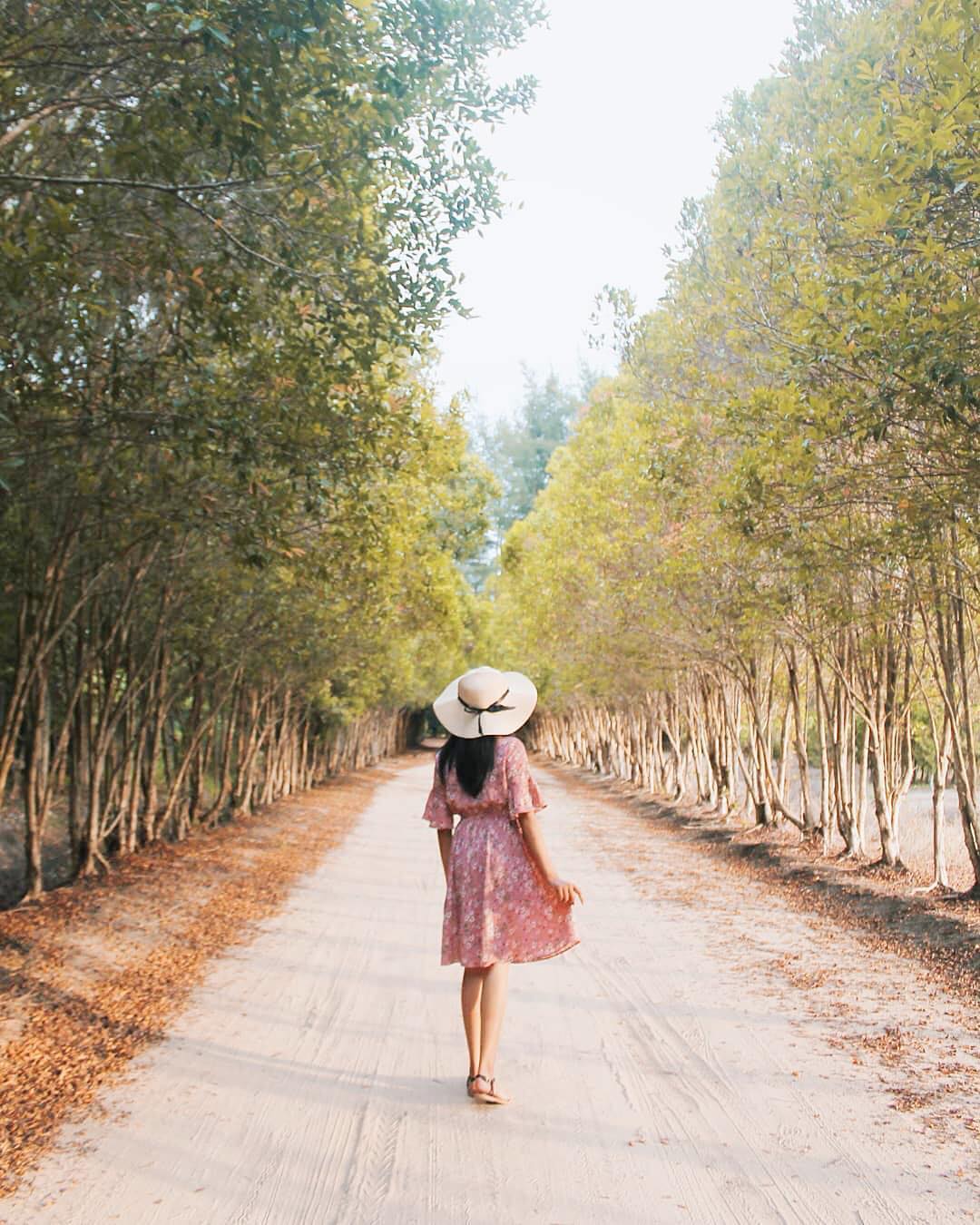 Jelajah Wisata Bangka Location Bangka Botanical Garden Pangkalpinang - Jelajah Wisata Bangka - Location : Bangka Botanical Garden, Pangkalpinang, Bangka Island, Indonesia.

Ph...