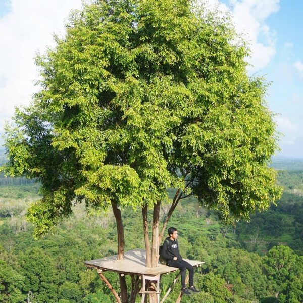 Location : Bukit Gebang, Desa Nangka, Kecamatan Air Gegas, Kabupaten Bangka Sela...