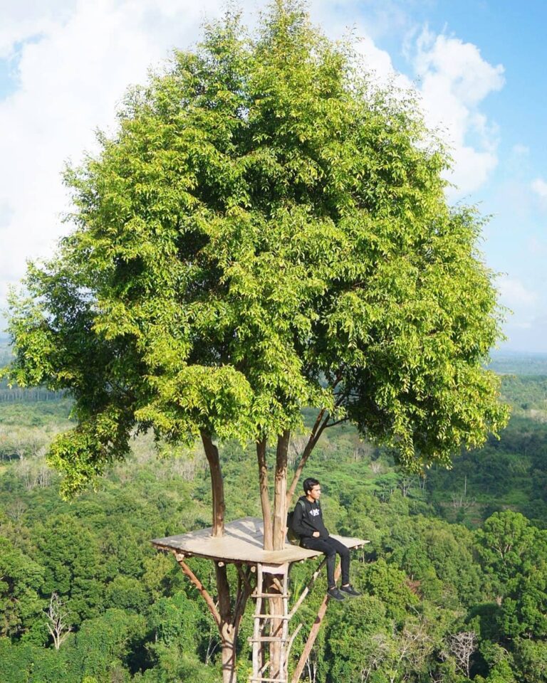 Location : Bukit Gebang, Desa Nangka, Kecamatan Air Gegas, Kabupaten Bangka Sela...