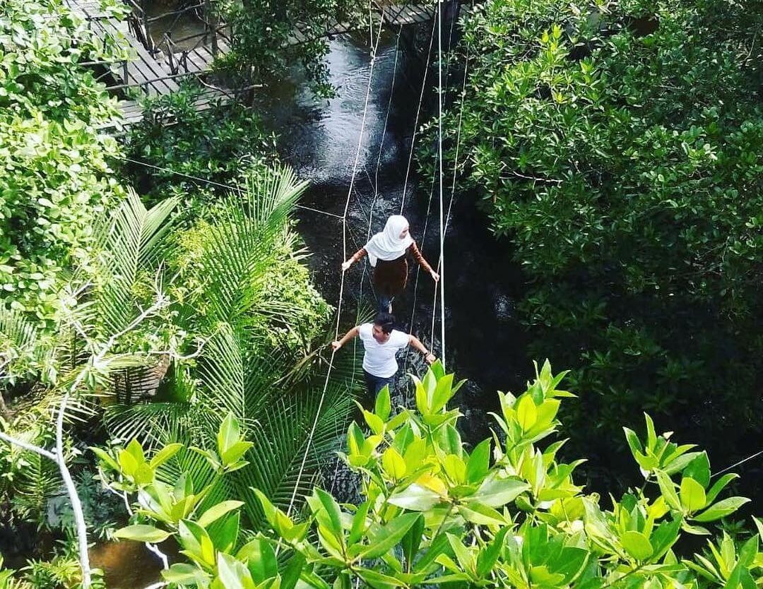 Location : Hutan Mangrove, Kurau Barat, Kabupaten Bangka Tengah, Bangka Island, ...