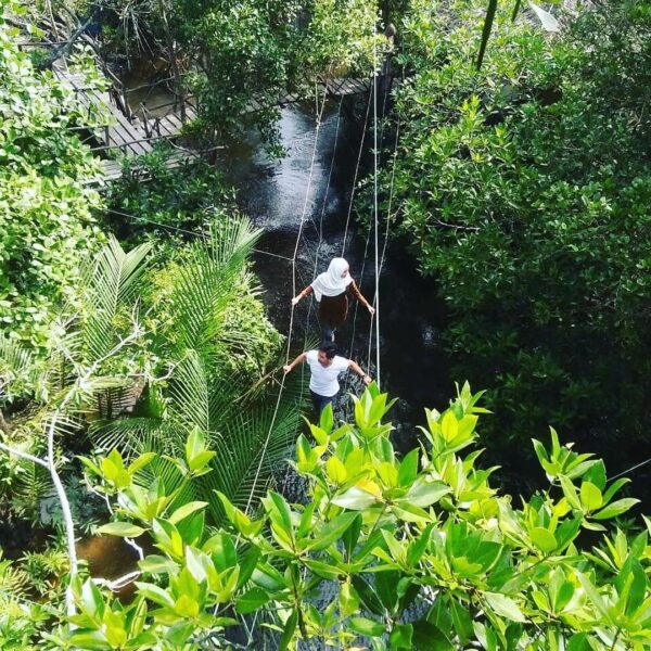 Location : Hutan Mangrove, Kurau Barat, Kabupaten Bangka Tengah, Bangka Island, ...