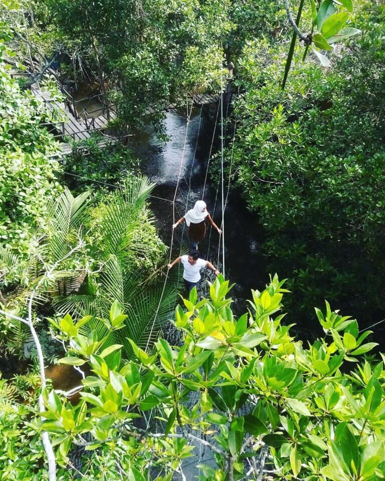 Location : Hutan Mangrove, Kurau Barat, Kabupaten Bangka Tengah, Bangka Island, ...