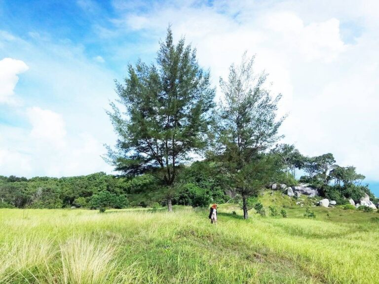 Location : Pantai Desa Batu Beriga, Lubuk Besar, Kabupaten Bangka Tengah, Bangka...