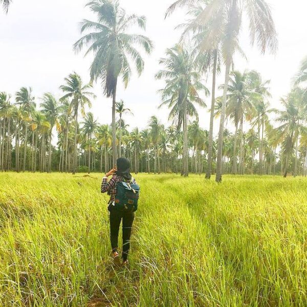 Location : Pantai Labu, Desa Pejem, Belinyu, Kabupaten Bangka, Bangka Island, In...
